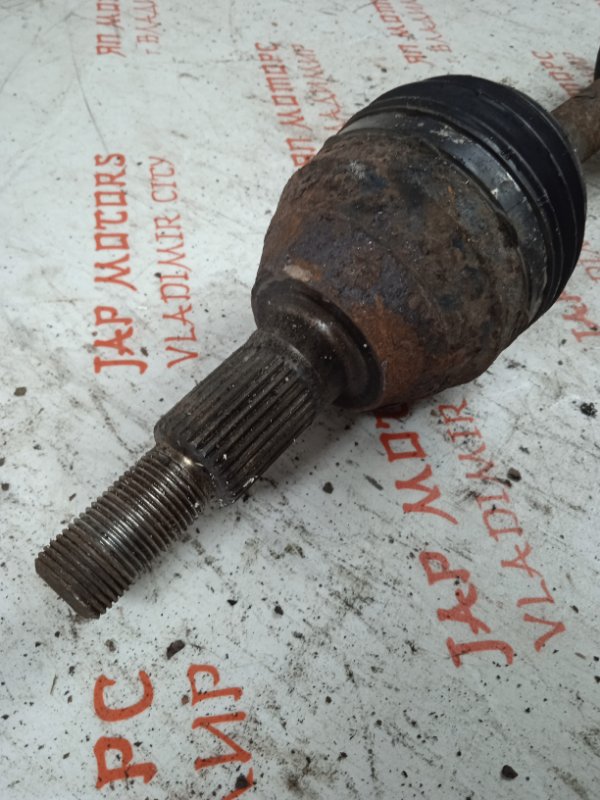 Привод, 10000 рублей, Владимир