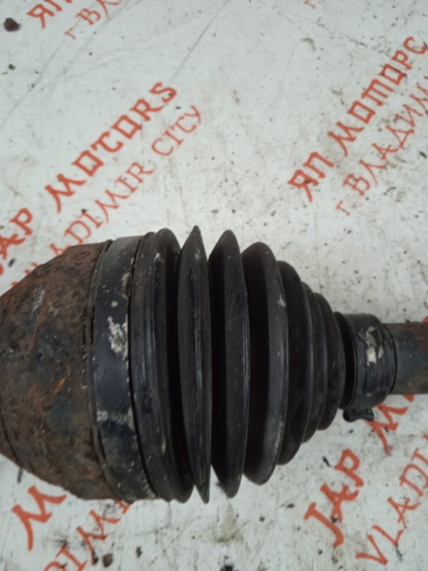 Привод, 10000 рублей, Владимир