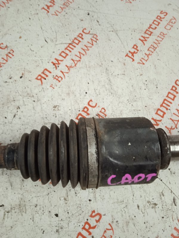 Привод, 10000 рублей, Владимир