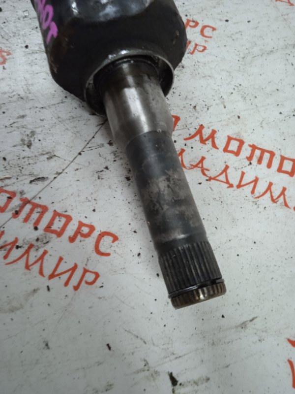 Привод, 10000 рублей, Владимир