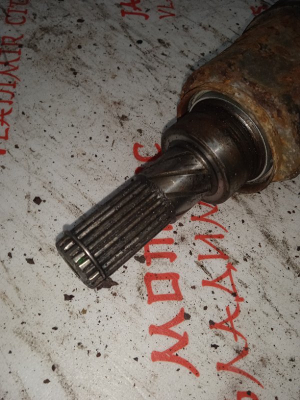 Привод, 3000 рублей, Владимир