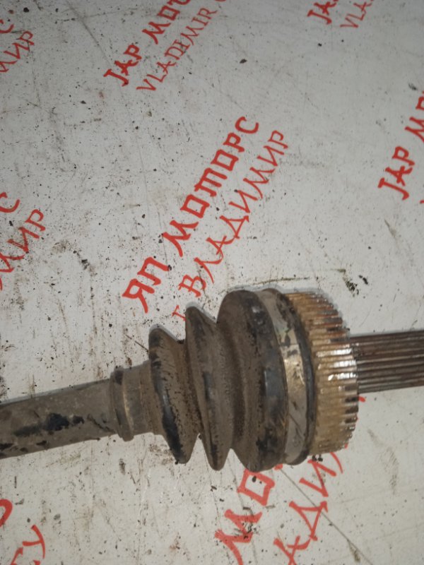 Привод, 3000 рублей, Владимир