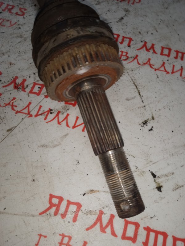 Привод, 3000 рублей, Владимир