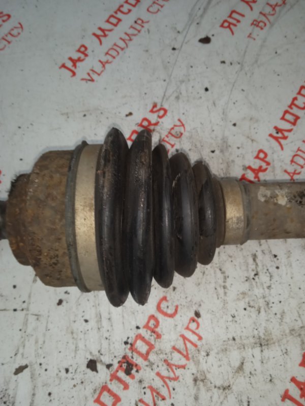 Привод, 5000 рублей, Владимир