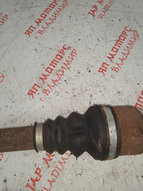 Привод, 5000 рублей, Владимир