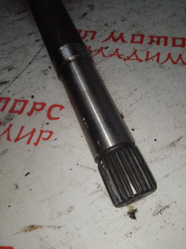 Привод, 5000 рублей, Владимир