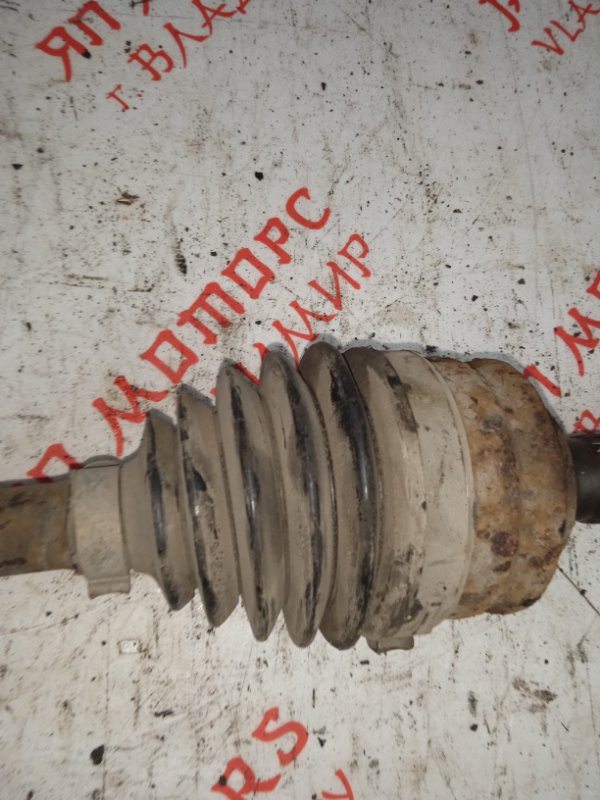 Привод, 2500 рублей, Владимир