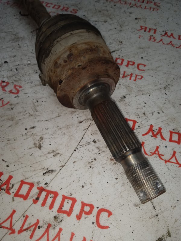 Привод, 2500 рублей, Владимир