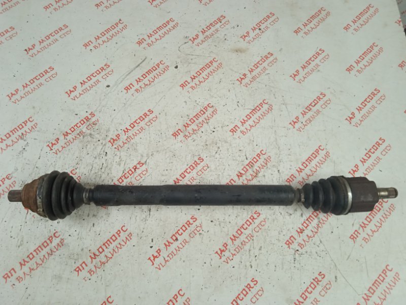 Привод, 7000 рублей, Владимир