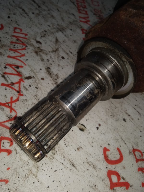 Привод, 5000 рублей, Владимир