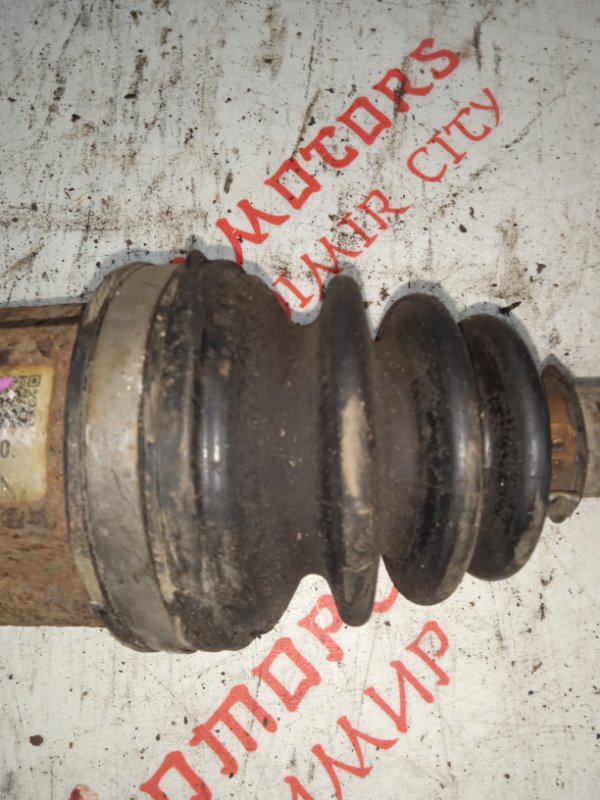 Привод, 5000 рублей, Владимир