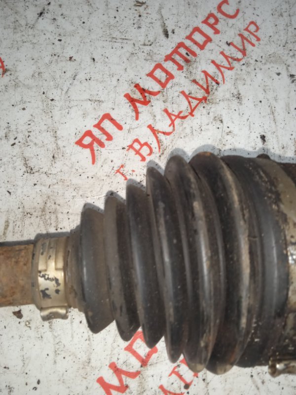 Привод, 5000 рублей, Владимир