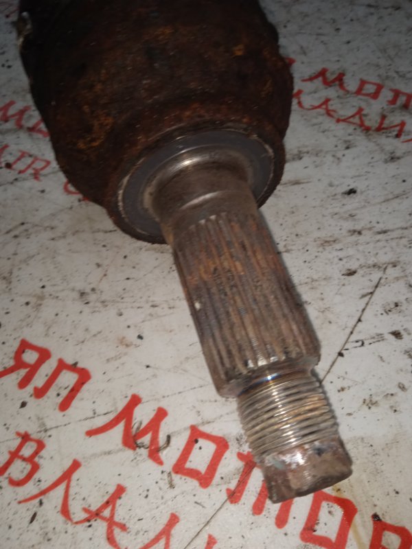 Привод, 5000 рублей, Владимир