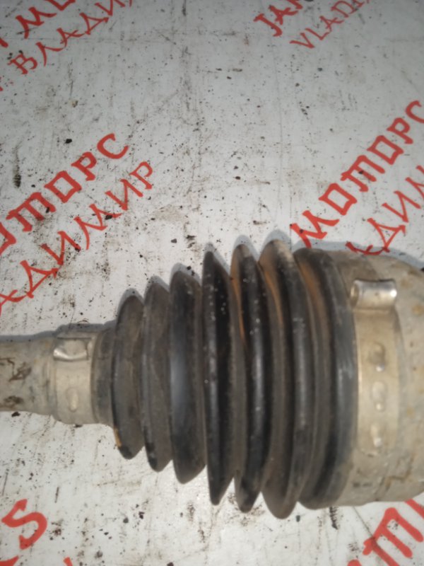 Привод, 4000 рублей, Владимир