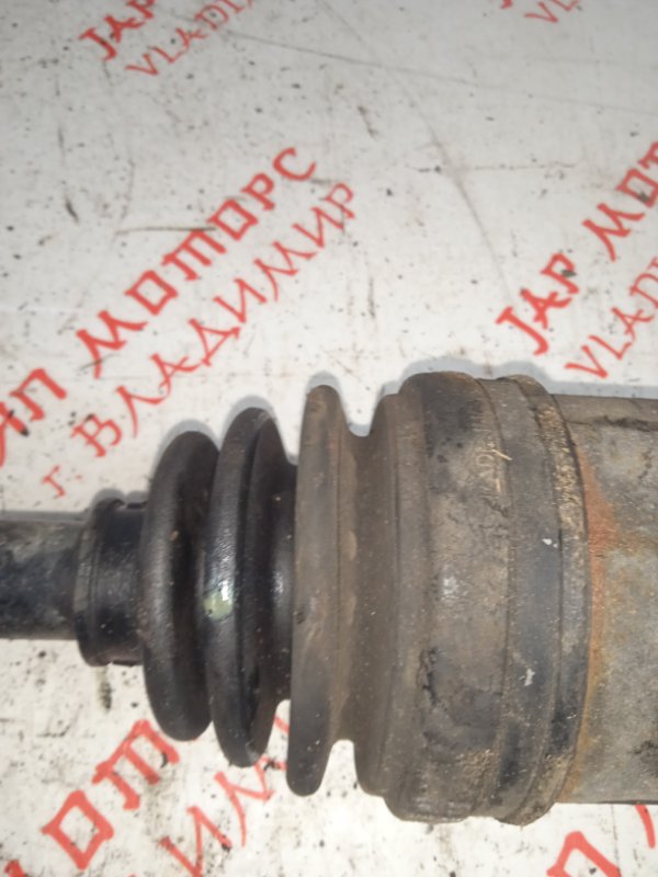 Привод, 7000 рублей, Владимир