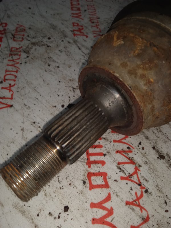 Привод, 4000 рублей, Владимир