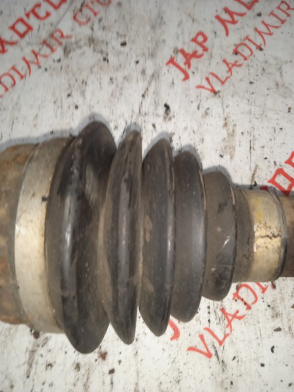 Привод, 4000 рублей, Владимир