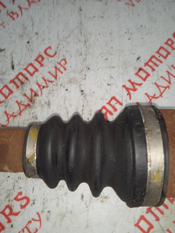 Привод, 4000 рублей, Владимир