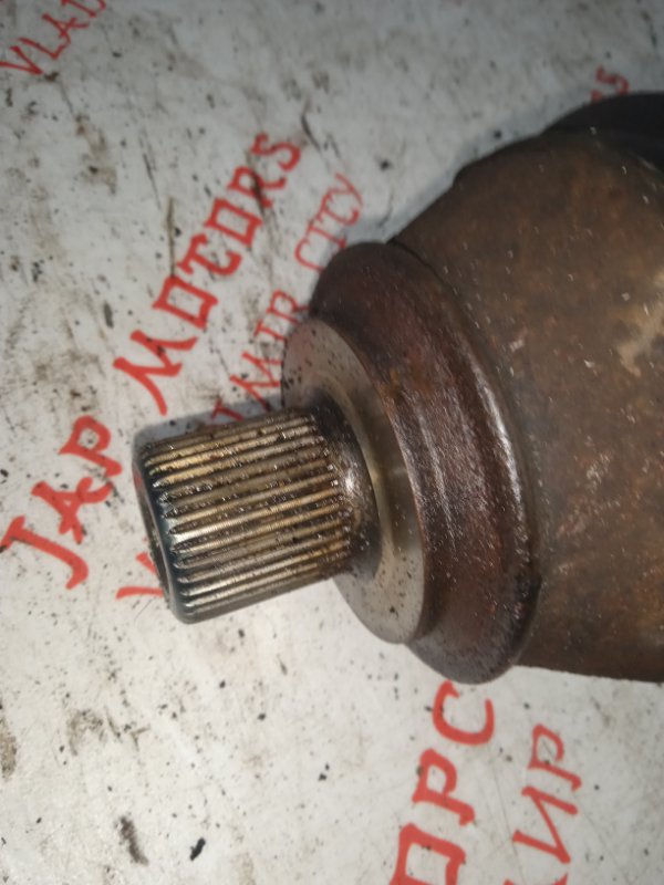 Привод, 6000 рублей, Владимир