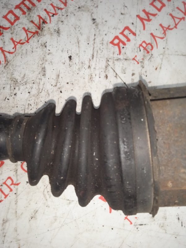 Привод, 6000 рублей, Владимир