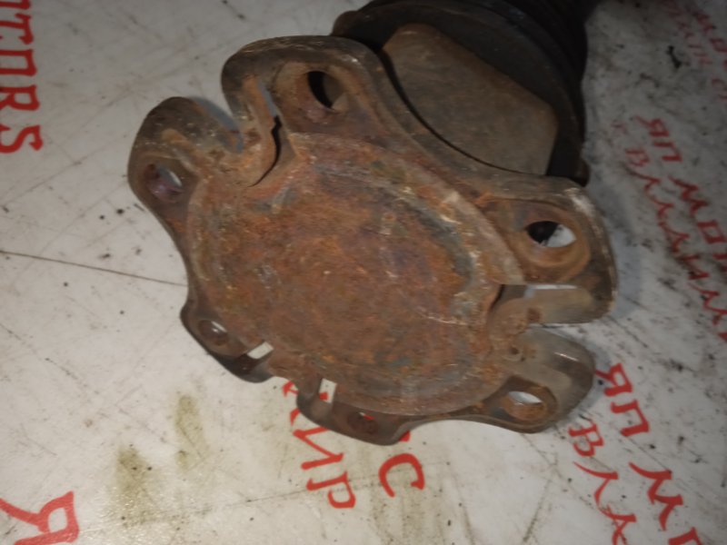 Привод, 6000 рублей, Владимир