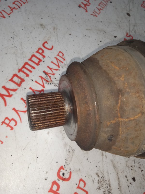 Привод, 6000 рублей, Владимир