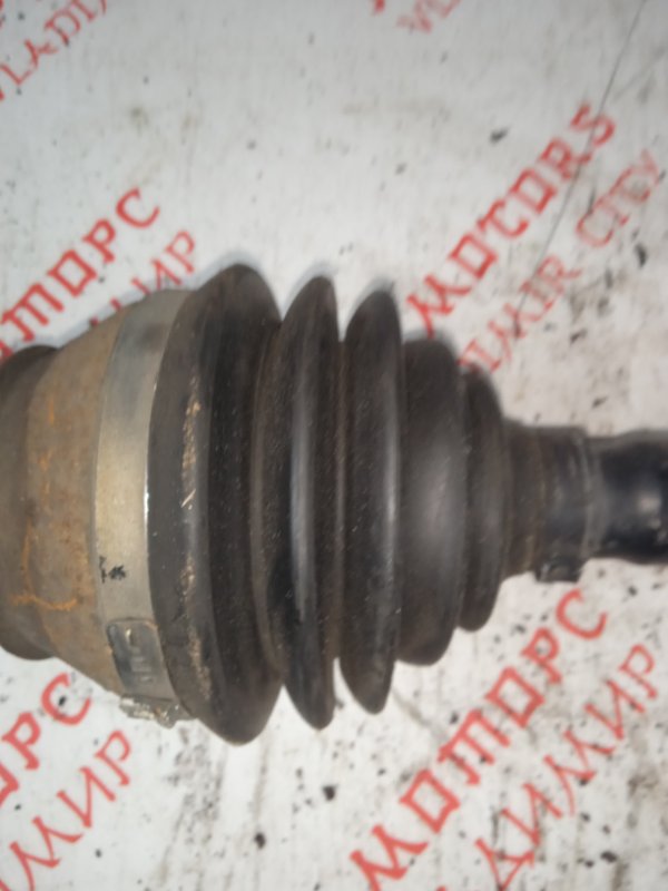 Привод, 6000 рублей, Владимир