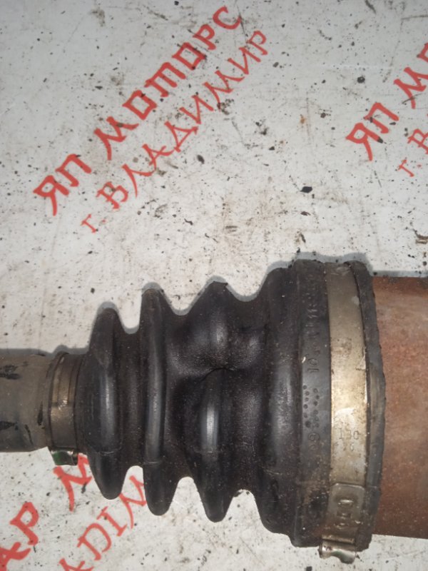 Привод, 6000 рублей, Владимир