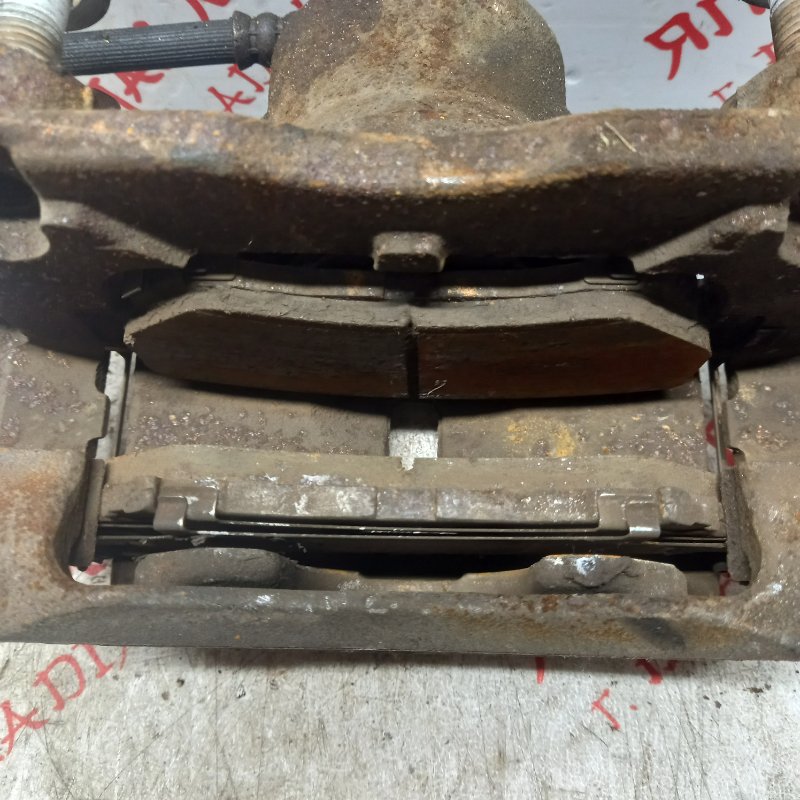 Суппорт тормозной, 2500 рублей, Владимир