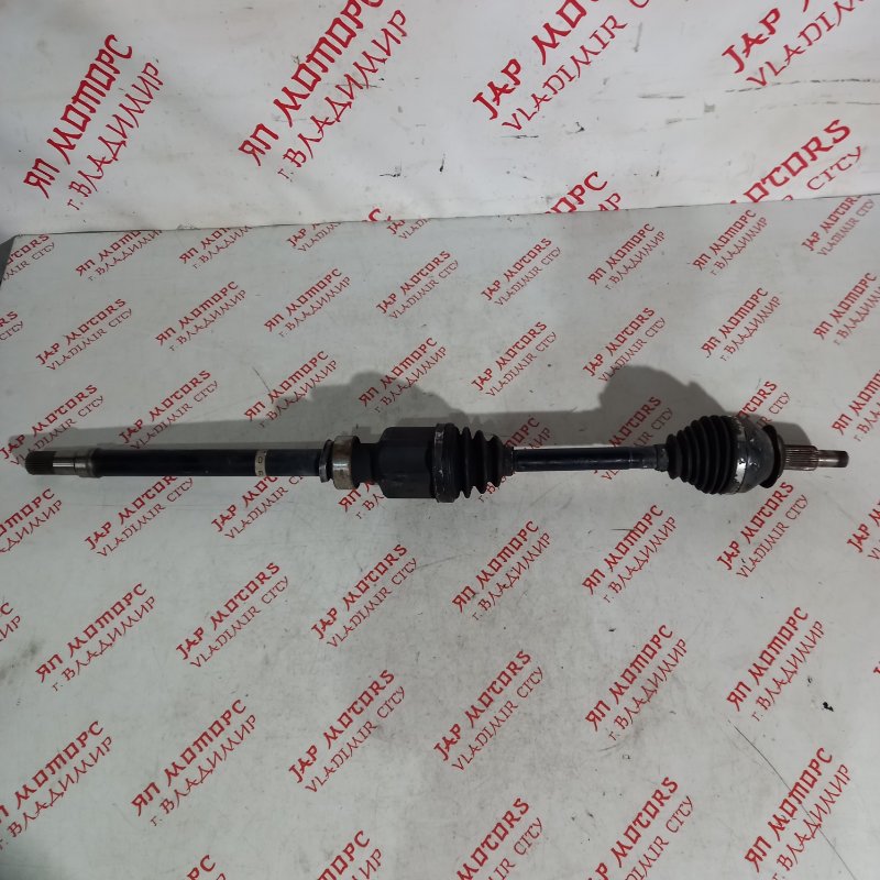 Привод, 15000 рублей, Владимир