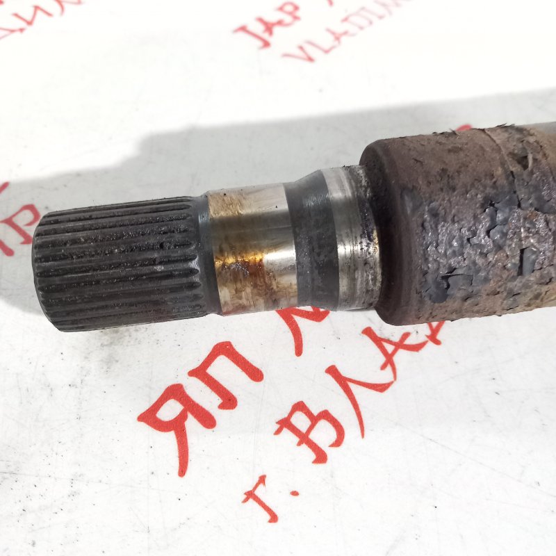 Привод, 10000 рублей, Владимир