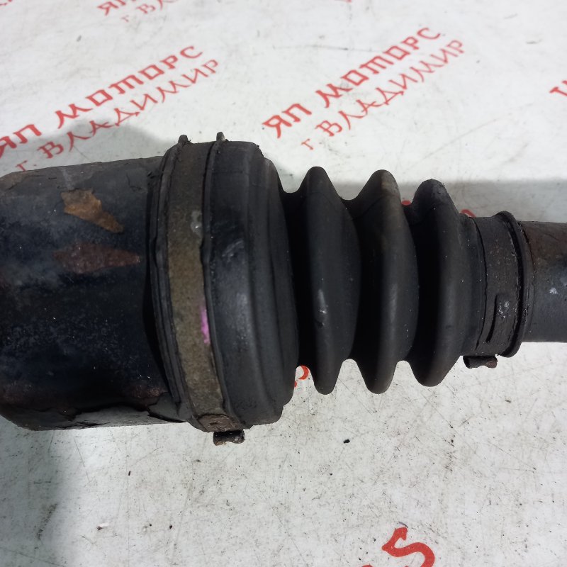 Привод, 10000 рублей, Владимир