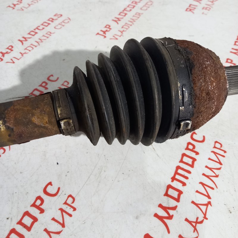 Привод, 10000 рублей, Владимир