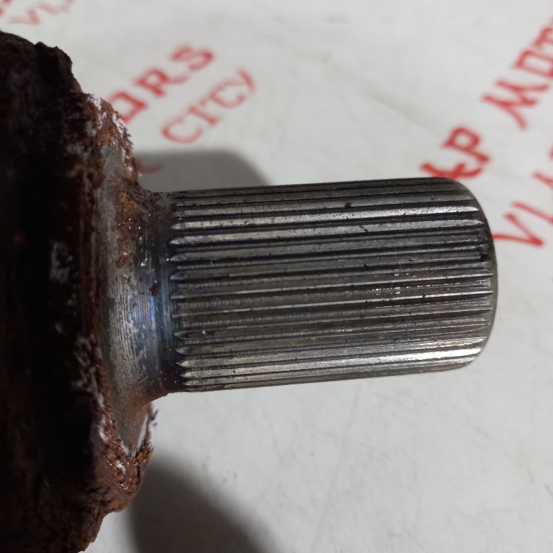 Привод, 10000 рублей, Владимир