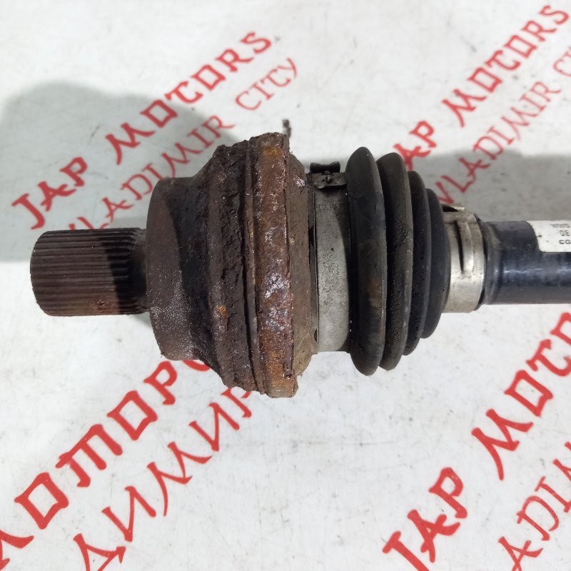 Привод, 4000 рублей, Владимир