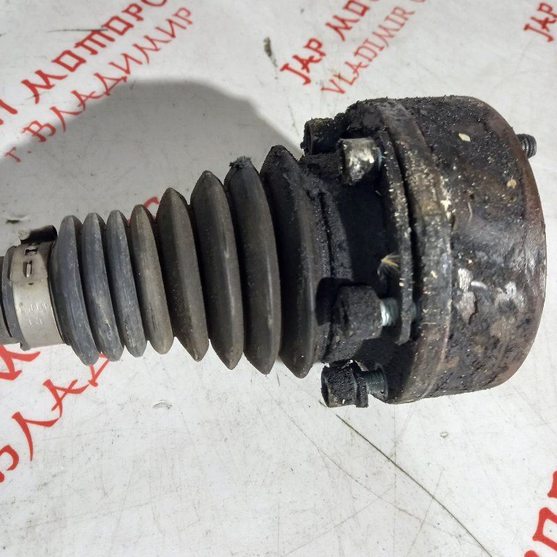 Привод, 4000 рублей, Владимир