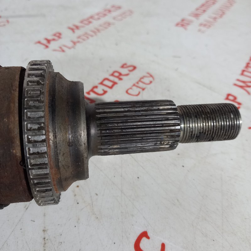 Привод, 4000 рублей, Владимир