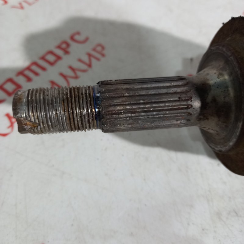 Привод, 7000 рублей, Владимир