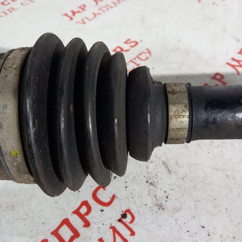 Привод, 7000 рублей, Владимир