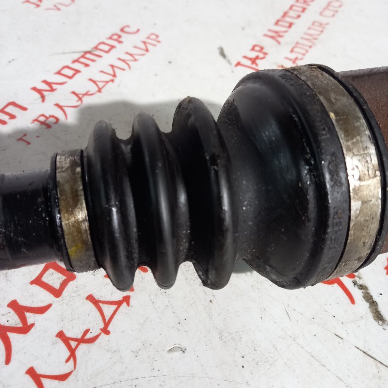 Привод, 7000 рублей, Владимир