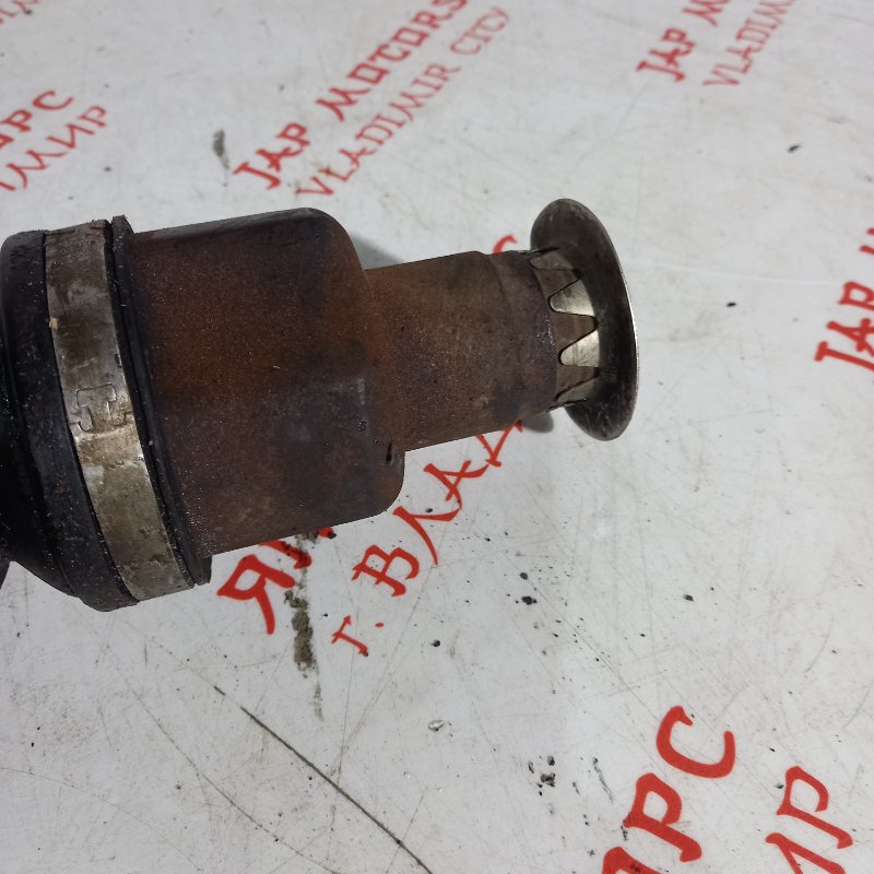 Привод, 7000 рублей, Владимир