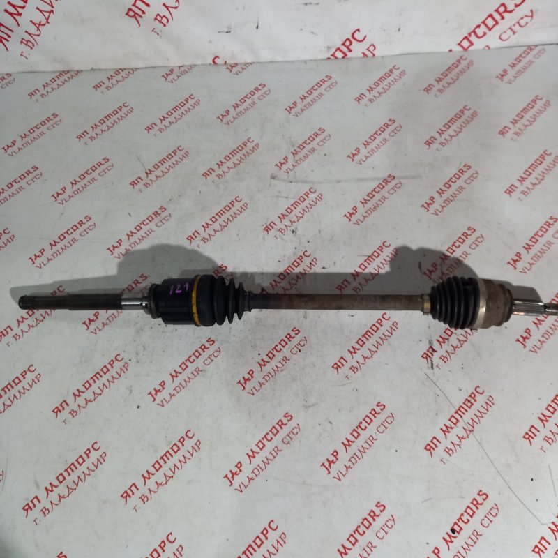 Привод, 7000 рублей, Владимир