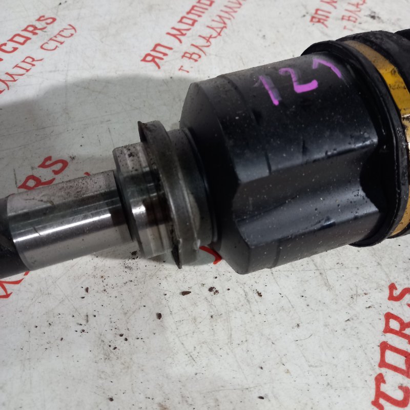 Привод, 7000 рублей, Владимир