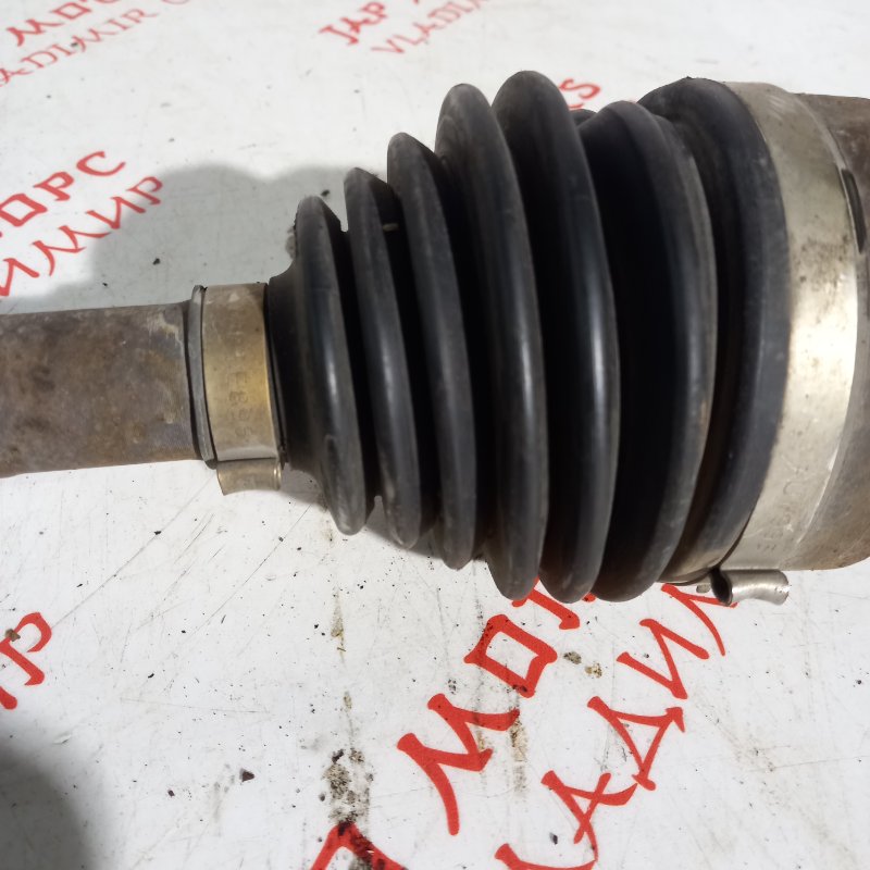 Привод, 7000 рублей, Владимир