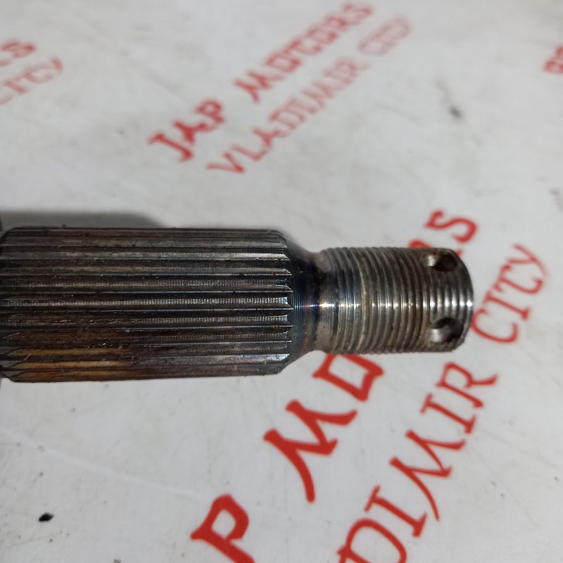 Привод, 7000 рублей, Владимир