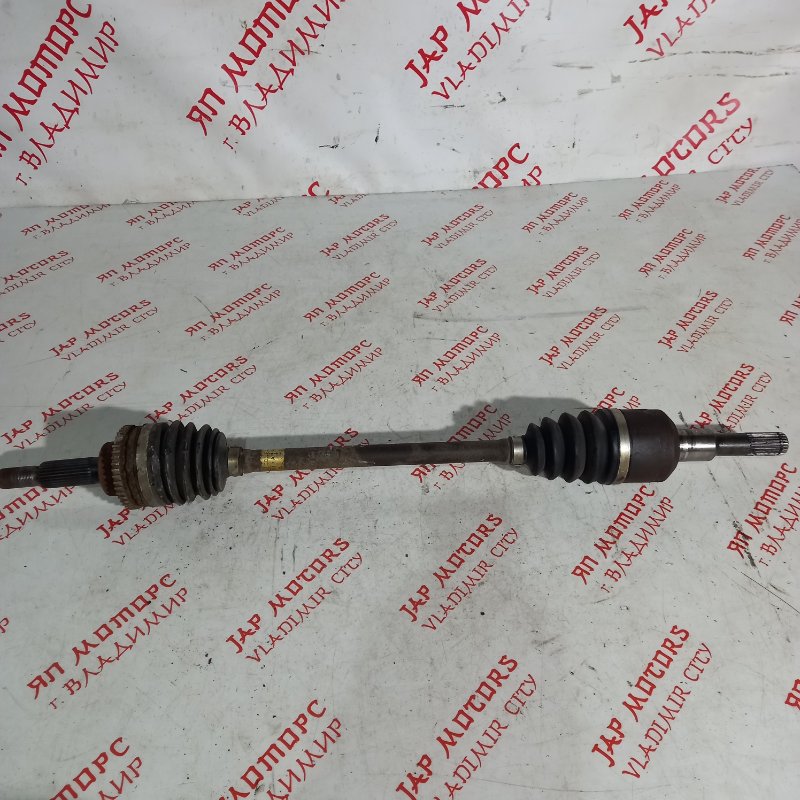 Привод, 25000 рублей, Владимир