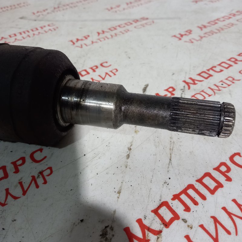 Привод, 25000 рублей, Владимир