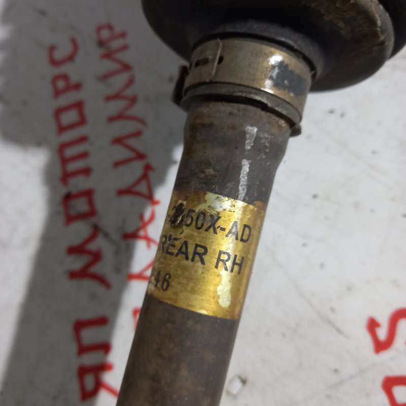 Привод, 25000 рублей, Владимир