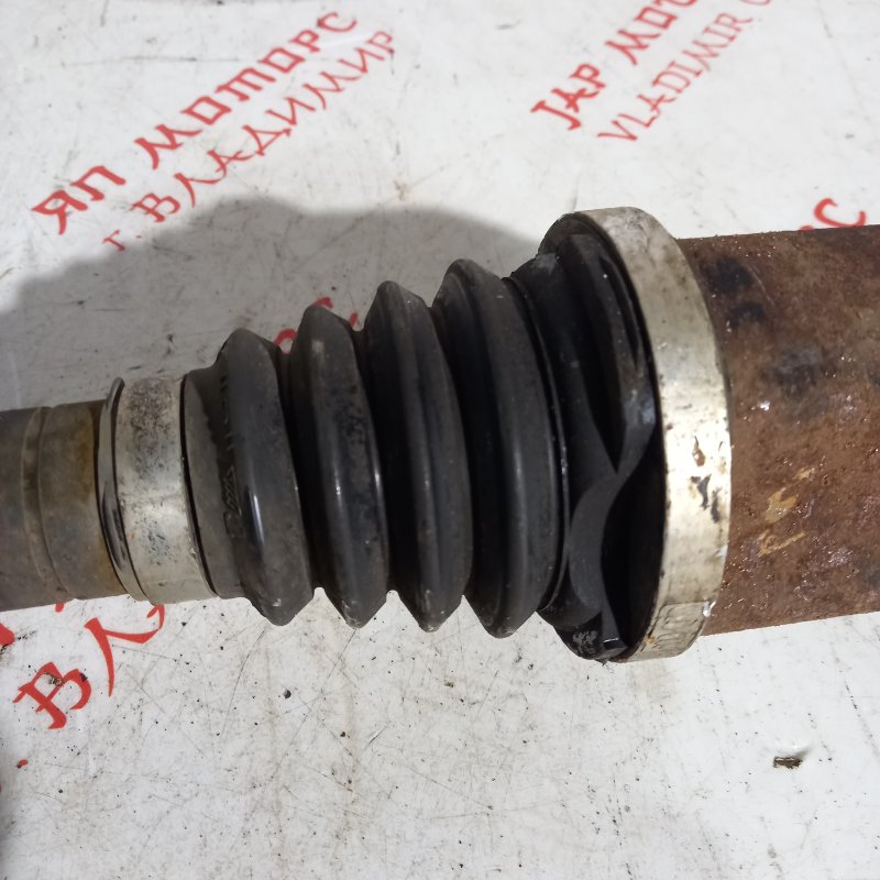 Привод, 7000 рублей, Владимир