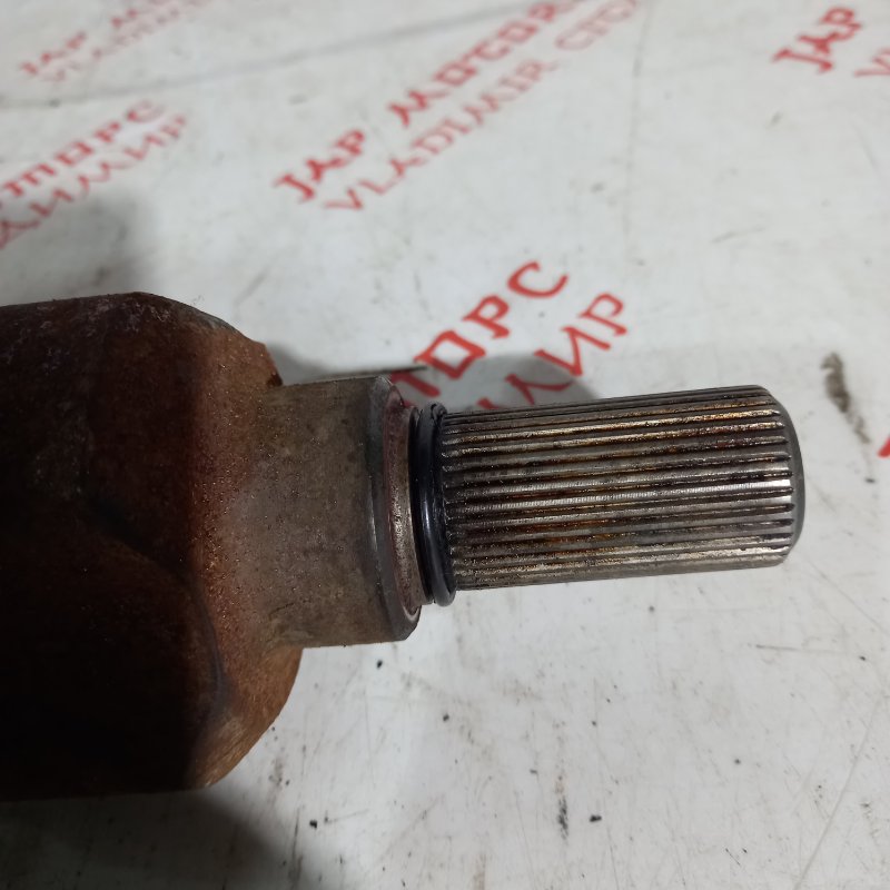 Привод, 7000 рублей, Владимир